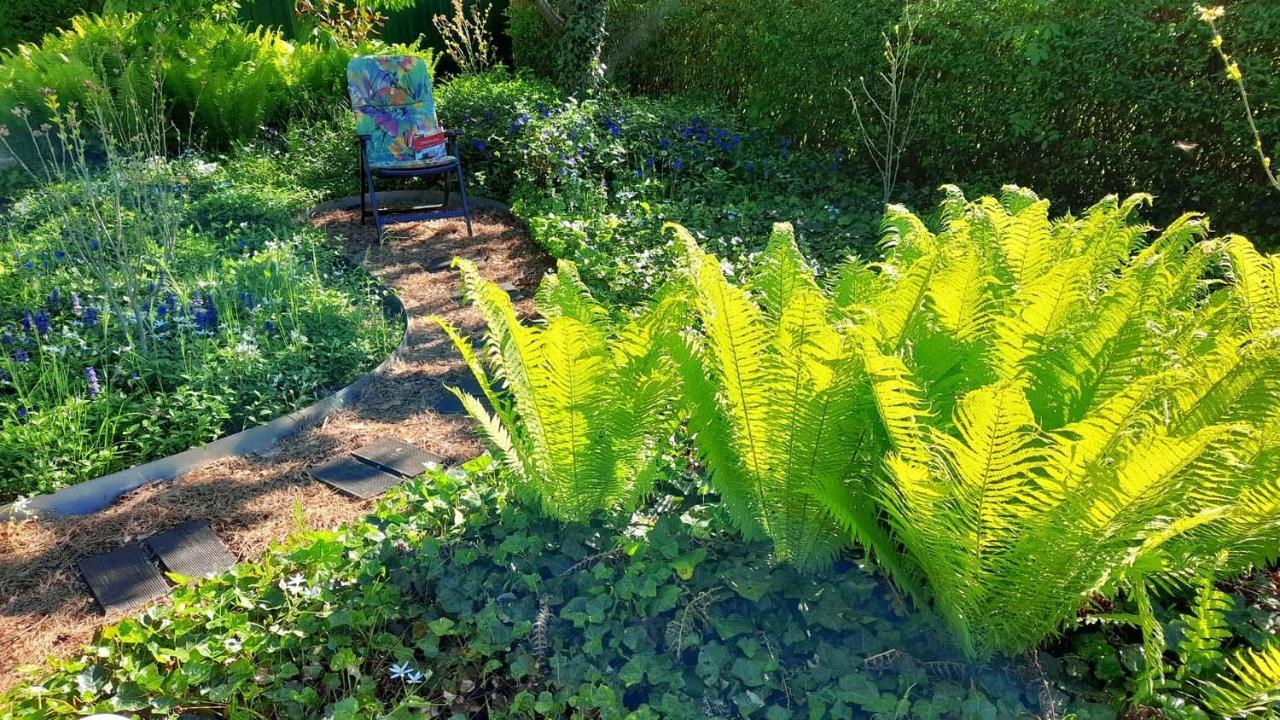 Mitten Im Seenland Und Spreewaldnah, Schoener Garten Storkow  Ngoại thất bức ảnh